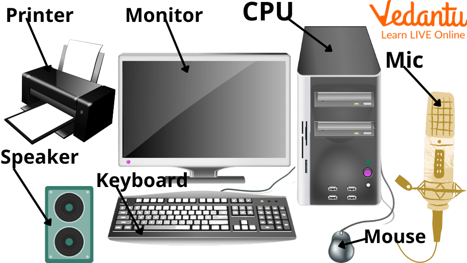 Computer Software Programming and Data Processing: Complete Career Path Guide